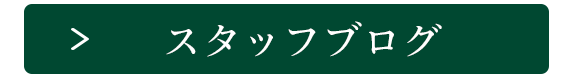 スタッフブログ